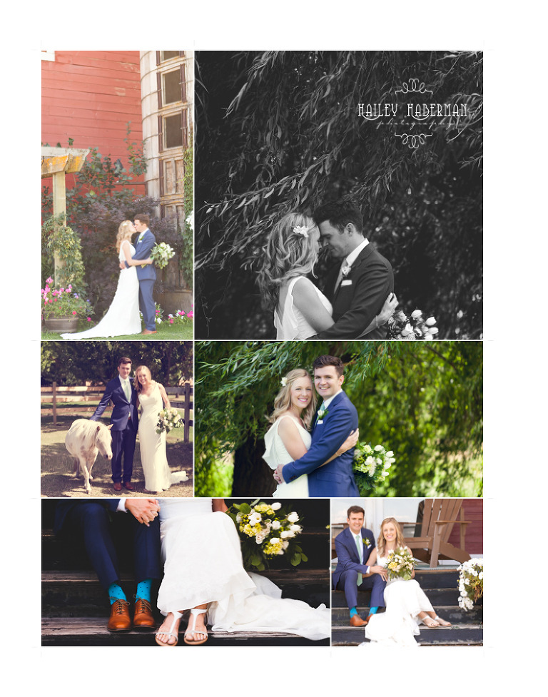 Ritter Farms Wedding Photography collage of bride and groom photos