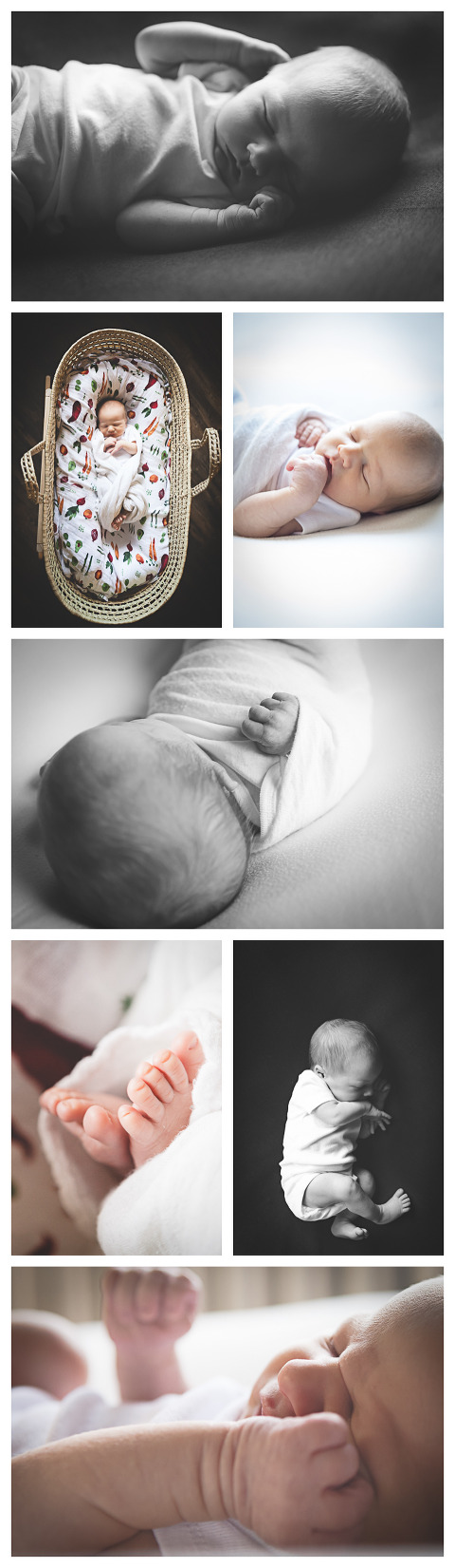 Baby makes 4, Baby Ridge by Hailey Haberman Ellensburg Lifestyle Newborn Photographer