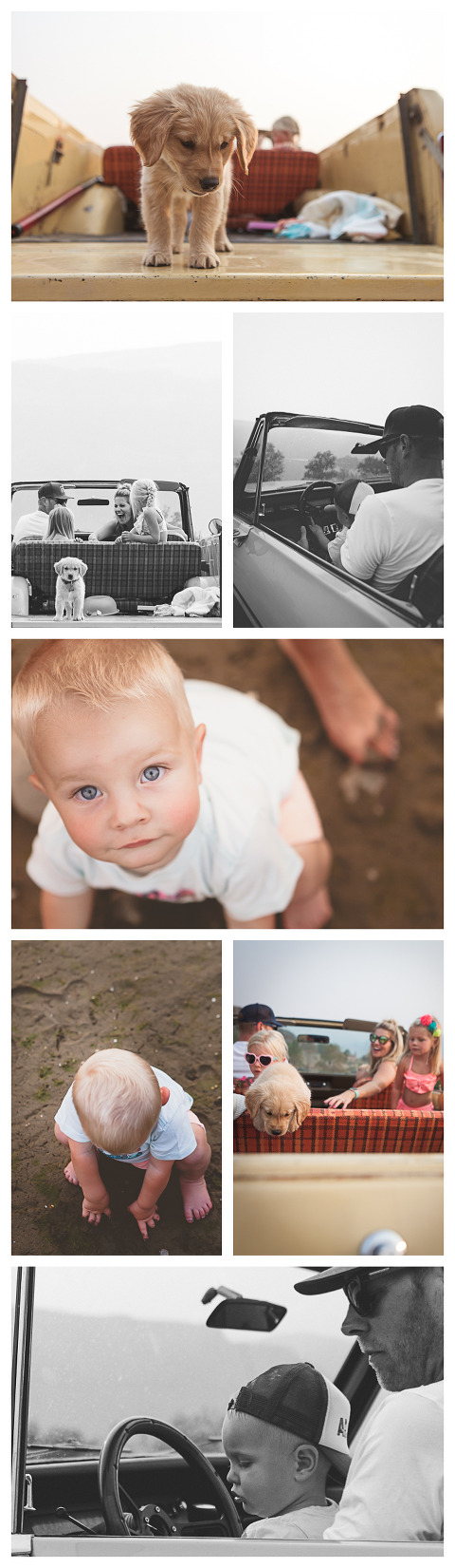 beach session with a scout, puppy, kids in the sand, Olson Family in Sunland, WA, lifestyle family session by Hailey Haberman