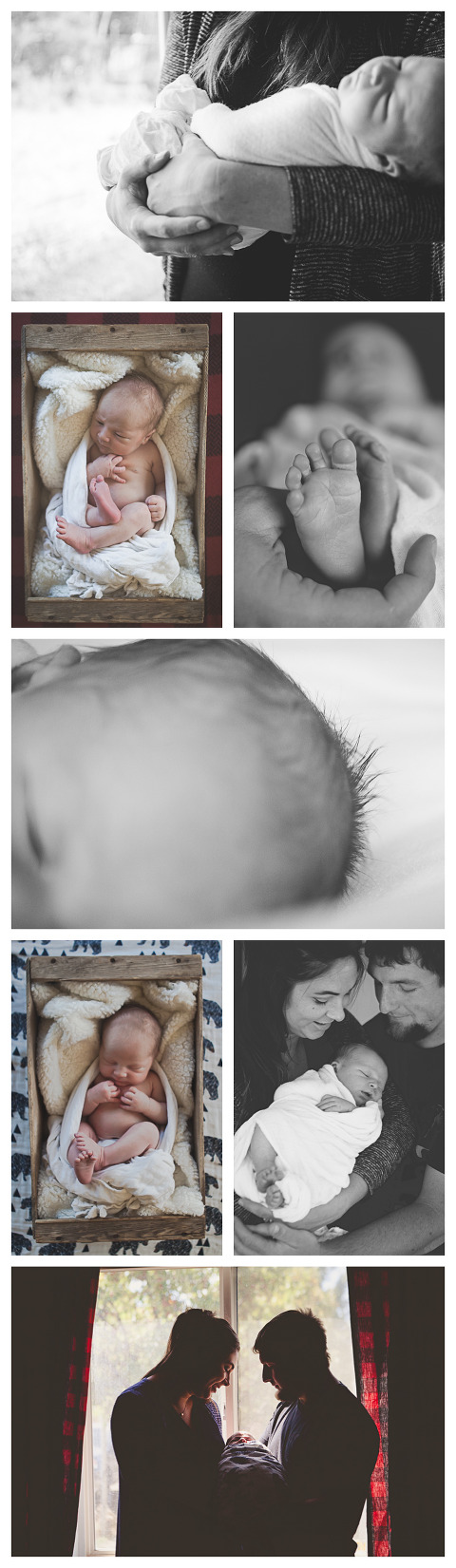 Baby Beau captured by Hailey Haberman Ellensburg Lifestyle Newborn Photographer